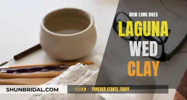 Laguna Wed Clay: Drying and Curing Time Explored