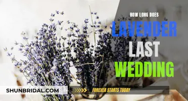 Lavender Wedding Decor: How Long Does It Last?