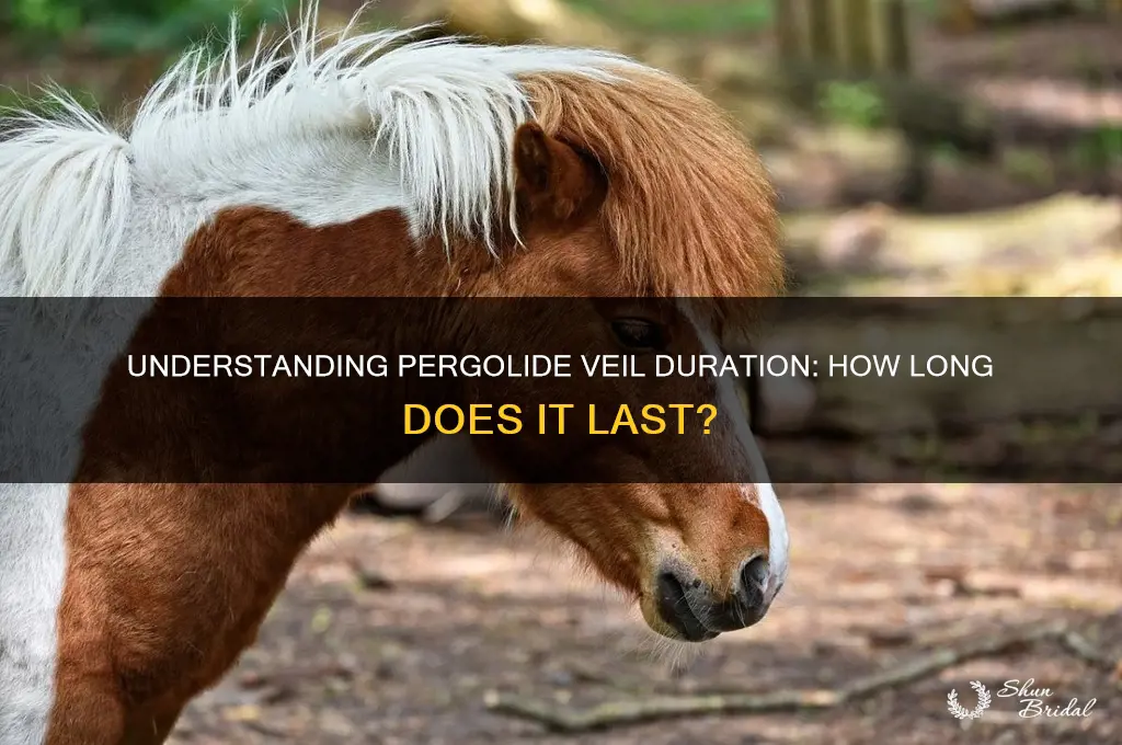 how long does pergolide veil last