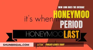 The Honeymoon Phase: How Long Does It Usually Last?