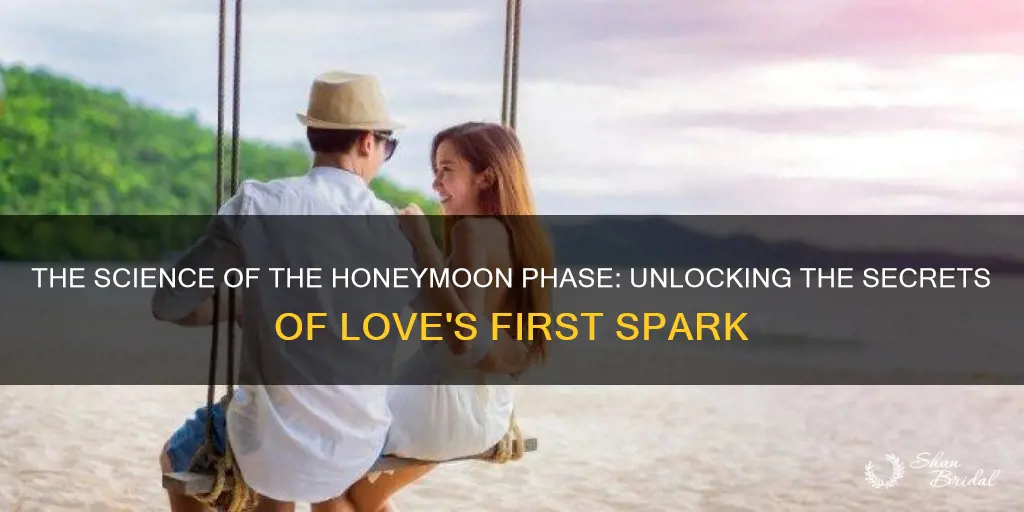 how long does the honeymoon fase last