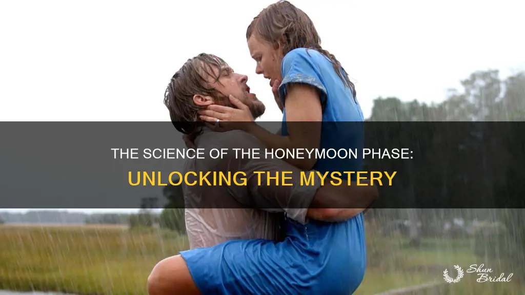 how long does the honeymoon faze last