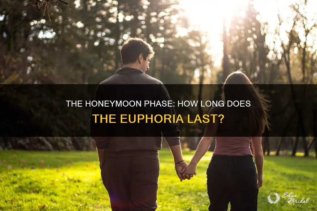 how long does the honeymoon faze last
