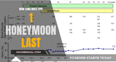 The Duration of Type 1 Diabetes' Honeymoon: Unraveling the Mystery