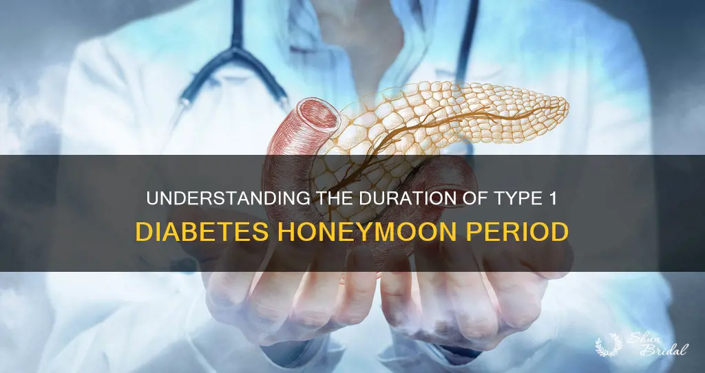how long does type 1 honeymoon last