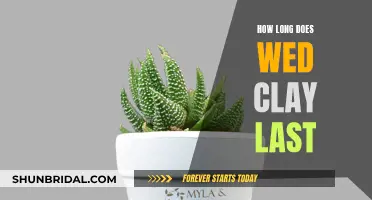 The Longevity of Wed Clay: How Long Does it Last?