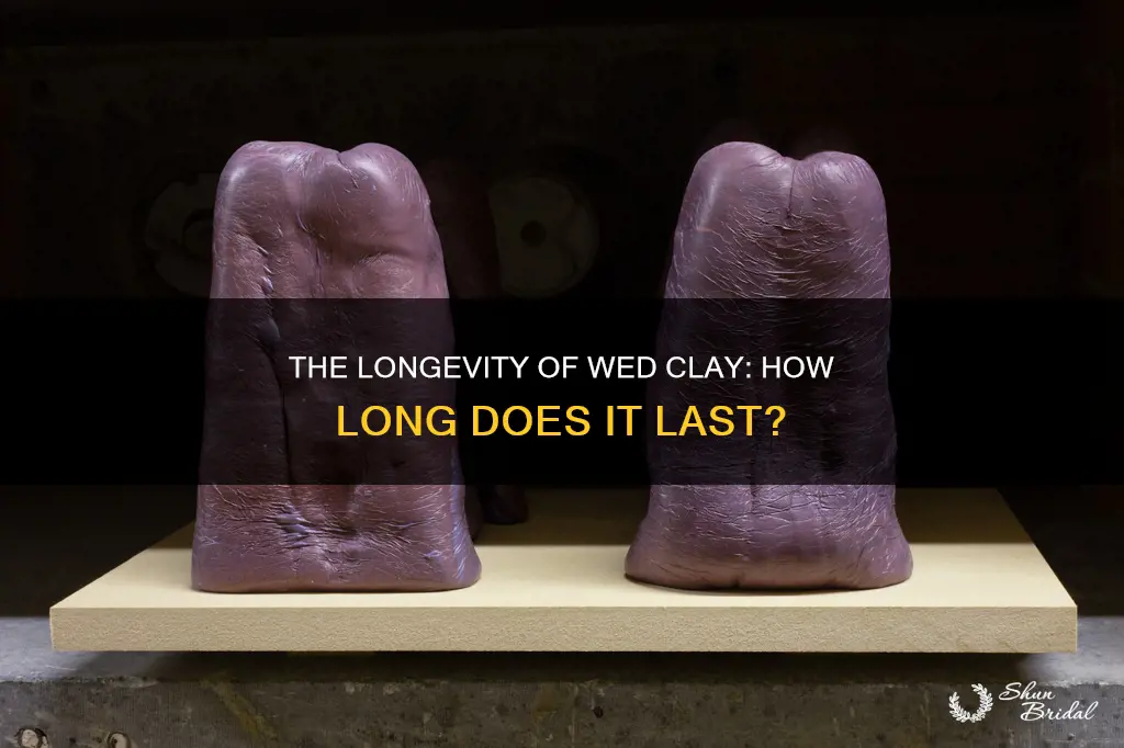 how long does wed clay last