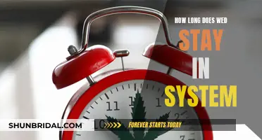 Weed's Long-Lasting Legacy: How It Stays in Your System