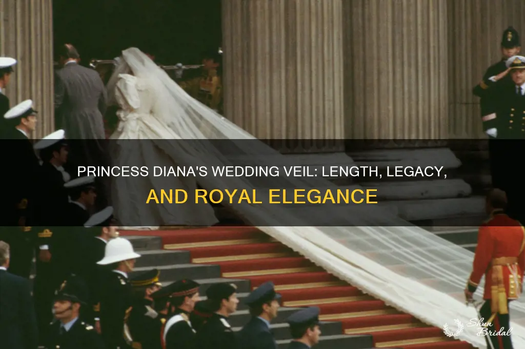 how long dwas princess diana s veil