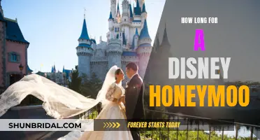 The Ultimate Disney Honeymoon: Planning Your Magical Getaway