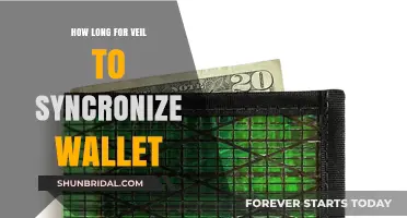 Veil Wallet Sync Time: Factors Affecting Synchronization Speed and Duration