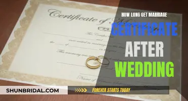 Obtaining Your Marriage Certificate: The Post-Wedding Timeline