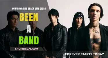 Black Veil Brides' Journey: A Timeline of Their Musical Legacy
