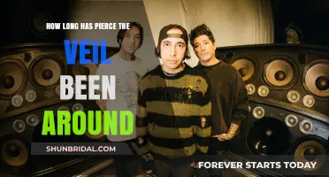 Pierce the Veil's Journey: A Timeline of Their Musical Legacy