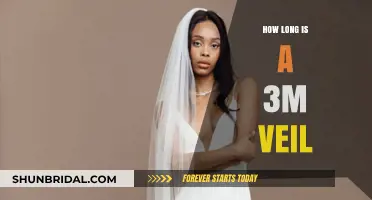 Understanding the Length of a 3-Meter Veil: A Comprehensive Guide