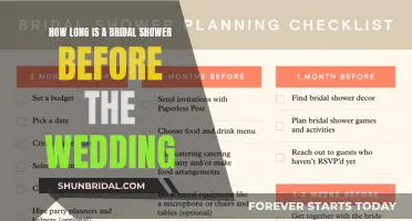 A Bridal Shower: Timing and Tradition Before the Wedding
