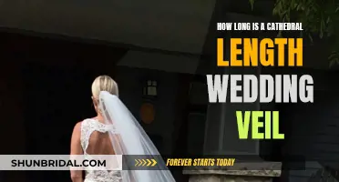 Cathedral Veils: Dramatic Lengths for the Modern Bride