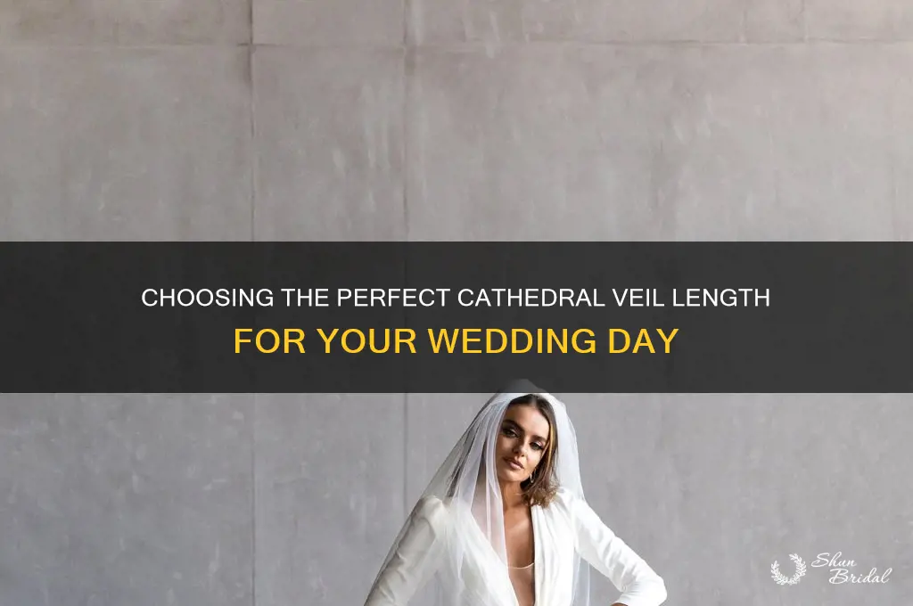 how long is a cathedral wedding veil