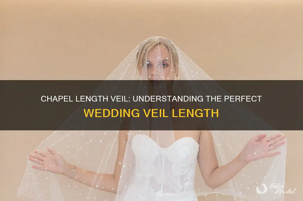how long is a chapel length veil