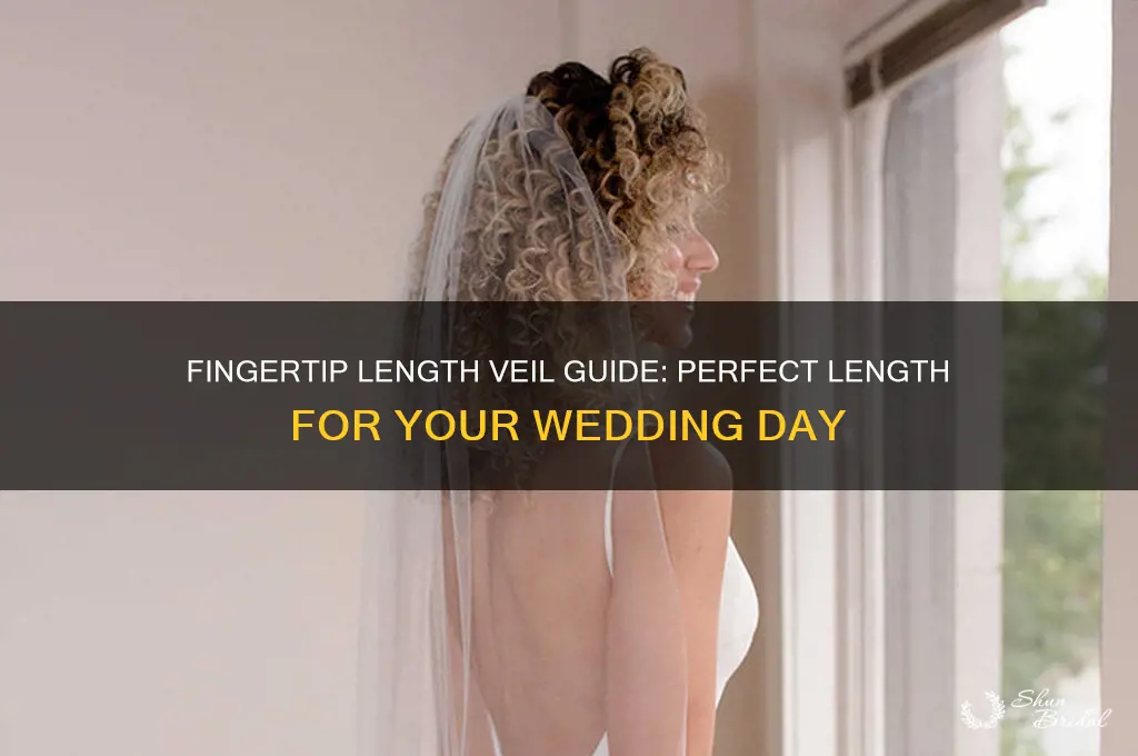 how long is a fingertip length veil