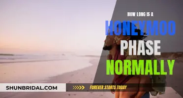 Honeymoon Phase: How Long Does the Bliss Last?