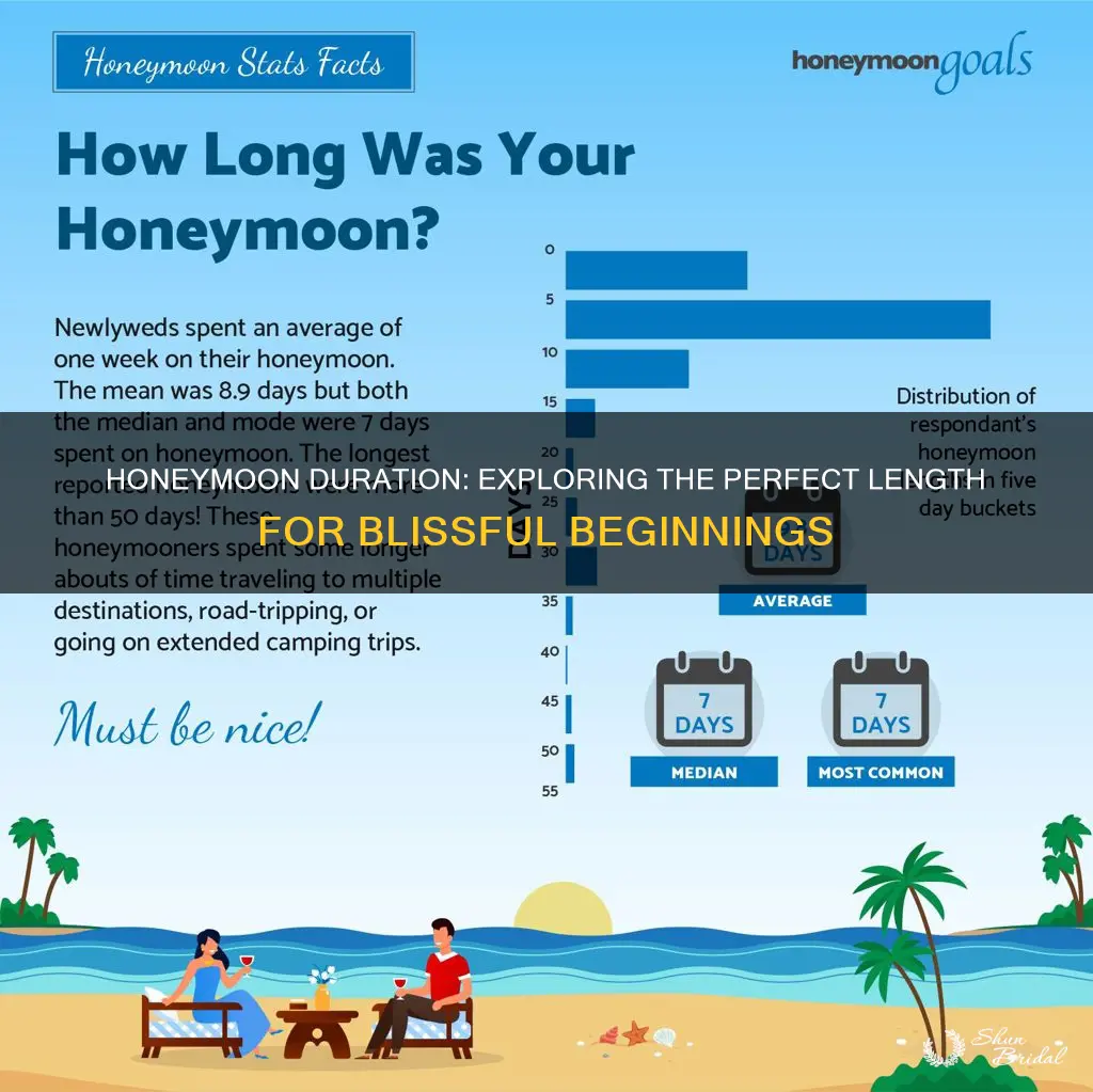 how long is a honeymoon phasr