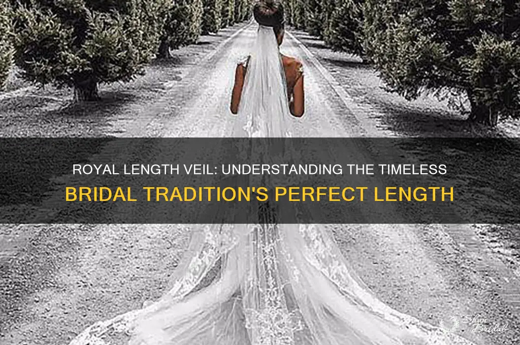 how long is a royal length veil