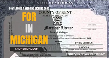Michigan Wedding Licenses: Validity and Expiry Dates