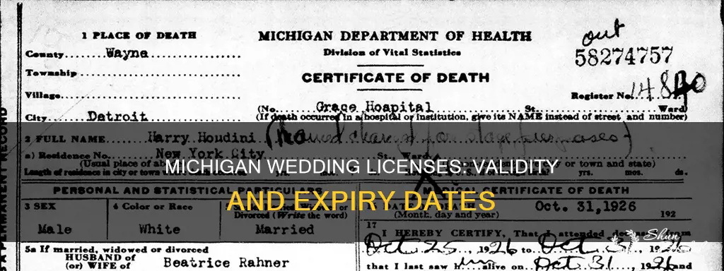 how long is a wedding license good for in Michigan