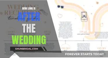 The Honeymoon Phase: How Long Does It Last Post-Wedding?