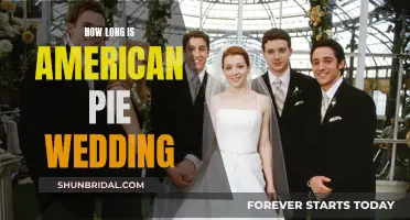 American Pie Wedding: A Long and Raunchy Affair