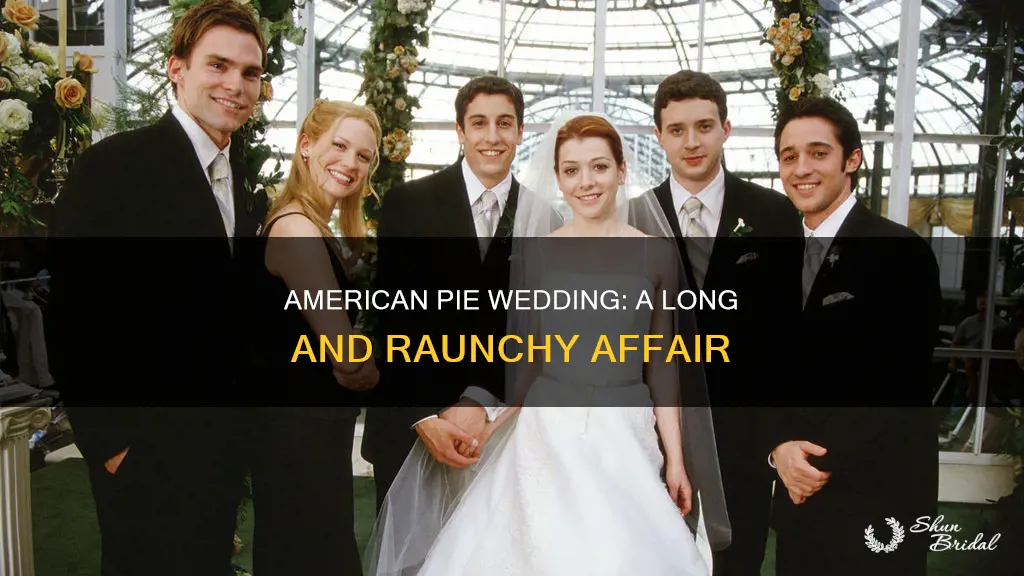 how long is american pie wedding