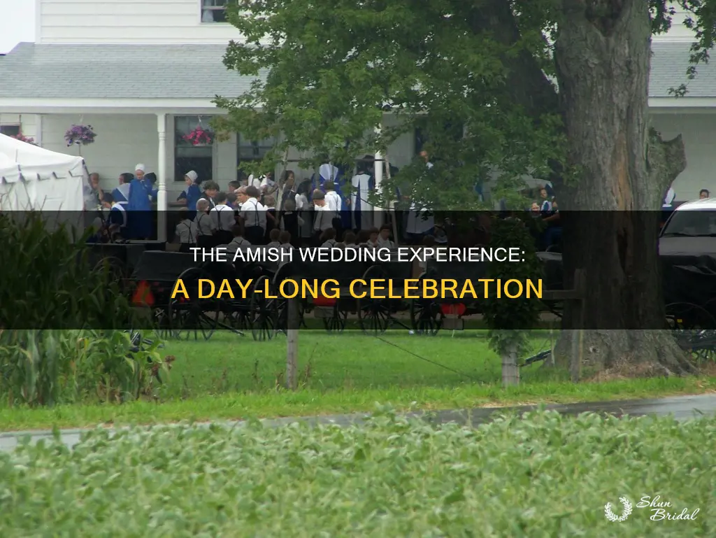how long is an amish wedding