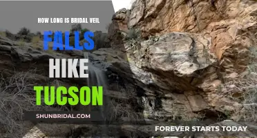 Bridal Veil Falls Hike in Tucson: Duration and Trail Insights
