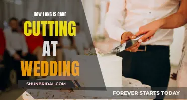 Cake-Cutting Ceremony: A Quick Guide for Wedding Planners
