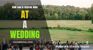 Cocktail Hour at Weddings: How Long Should It Be?