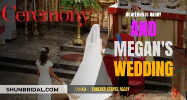 Royal Wedding Extravaganza: Harry and Meghan's Big Day