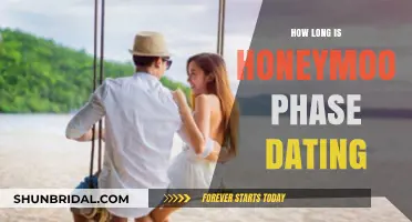 How Long Does the Honeymoon Phase in Dating Typically Last?