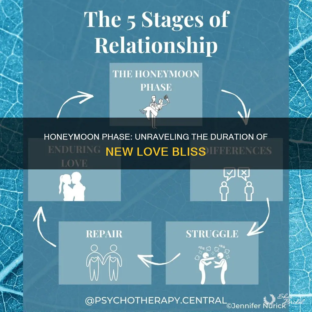 how long is honeymoon phase in new relationship