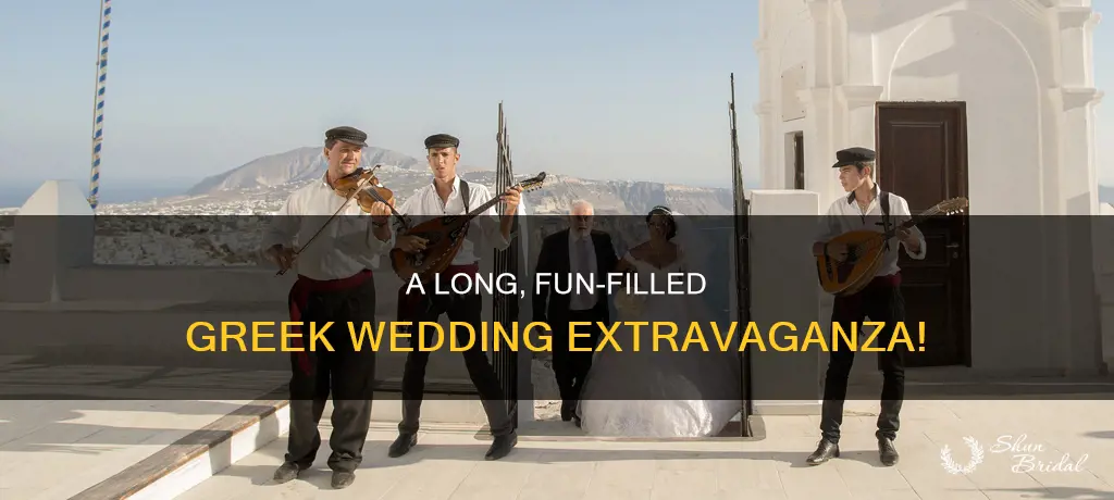 how long is my big fat greek wedding 1
