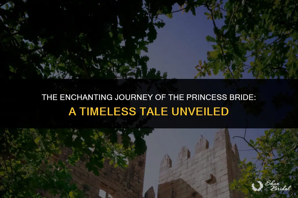 how long is princess bride