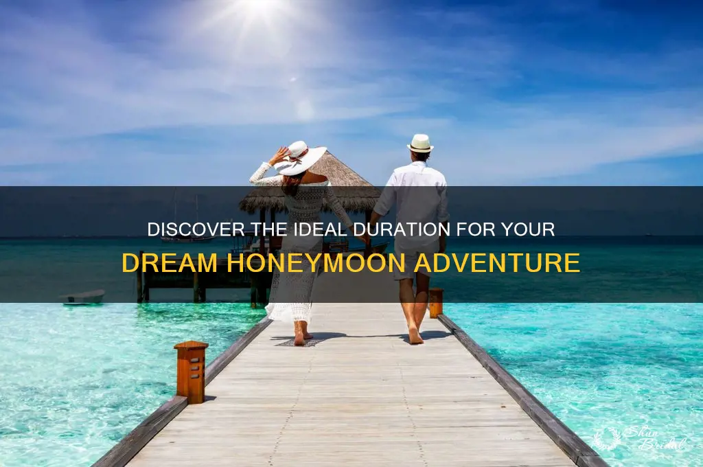 how long is the average honeymoon