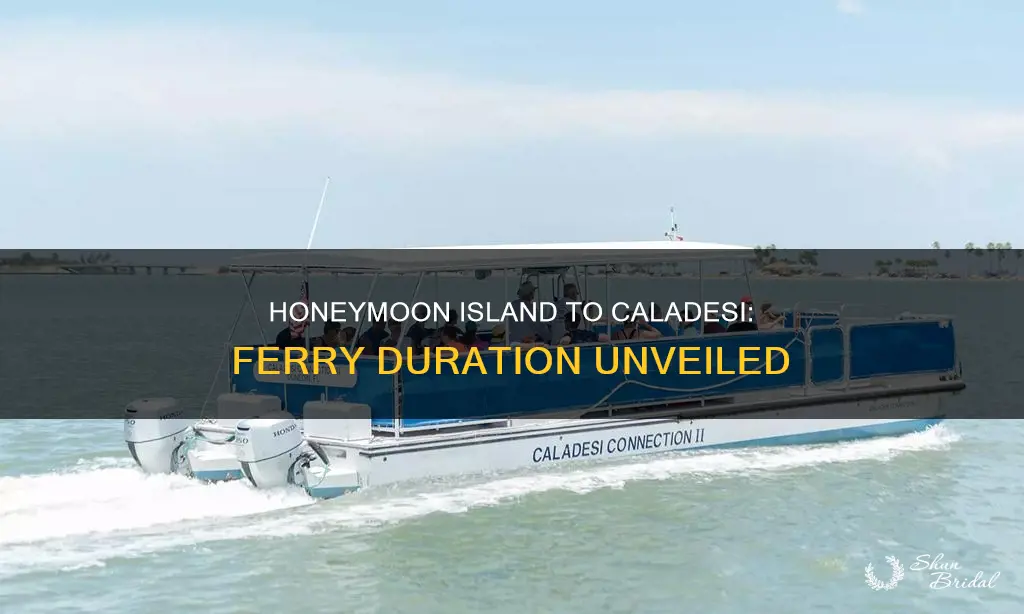 how long is the ferry from honeymoon island to caladesi