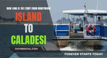 Honeymoon Island to Caladesi: A Quick Ferry Ride?