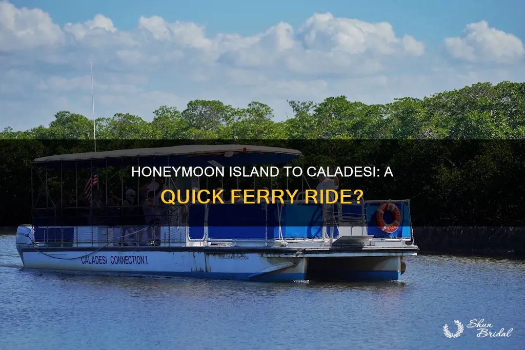 how long is the ferry from honeymoon island to caladesi