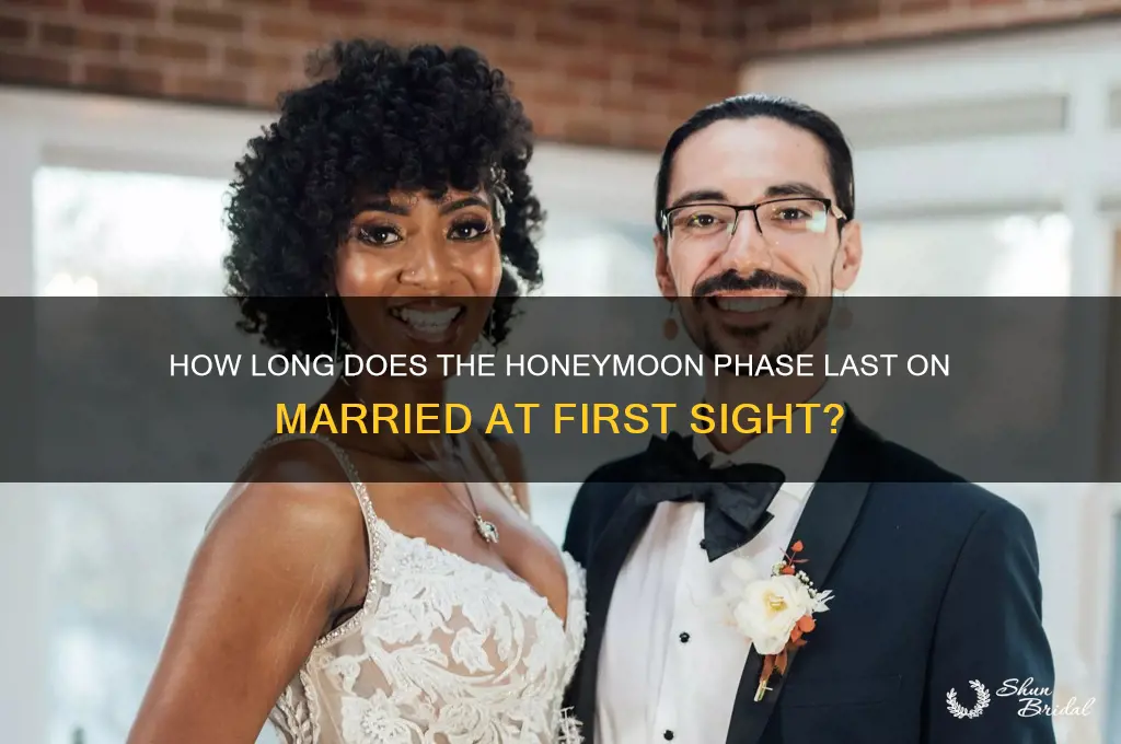 how long is the honeymoon on married at first sight
