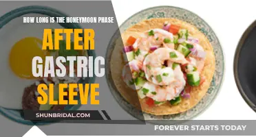 The Honeymoon Phase After Gastric Sleeve: How Long Does It Last?