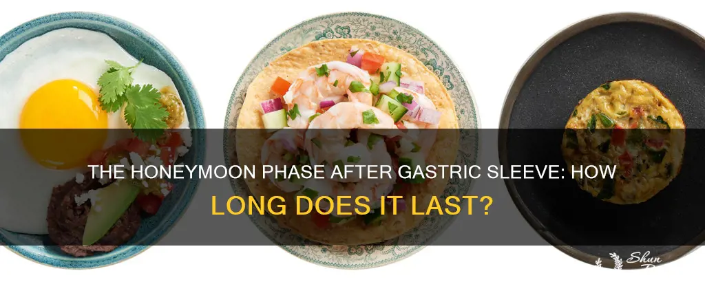 how long is the honeymoon phase after gastric sleeve
