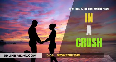 The Honeymoon Phase in a Crush: How Long Does It Last?