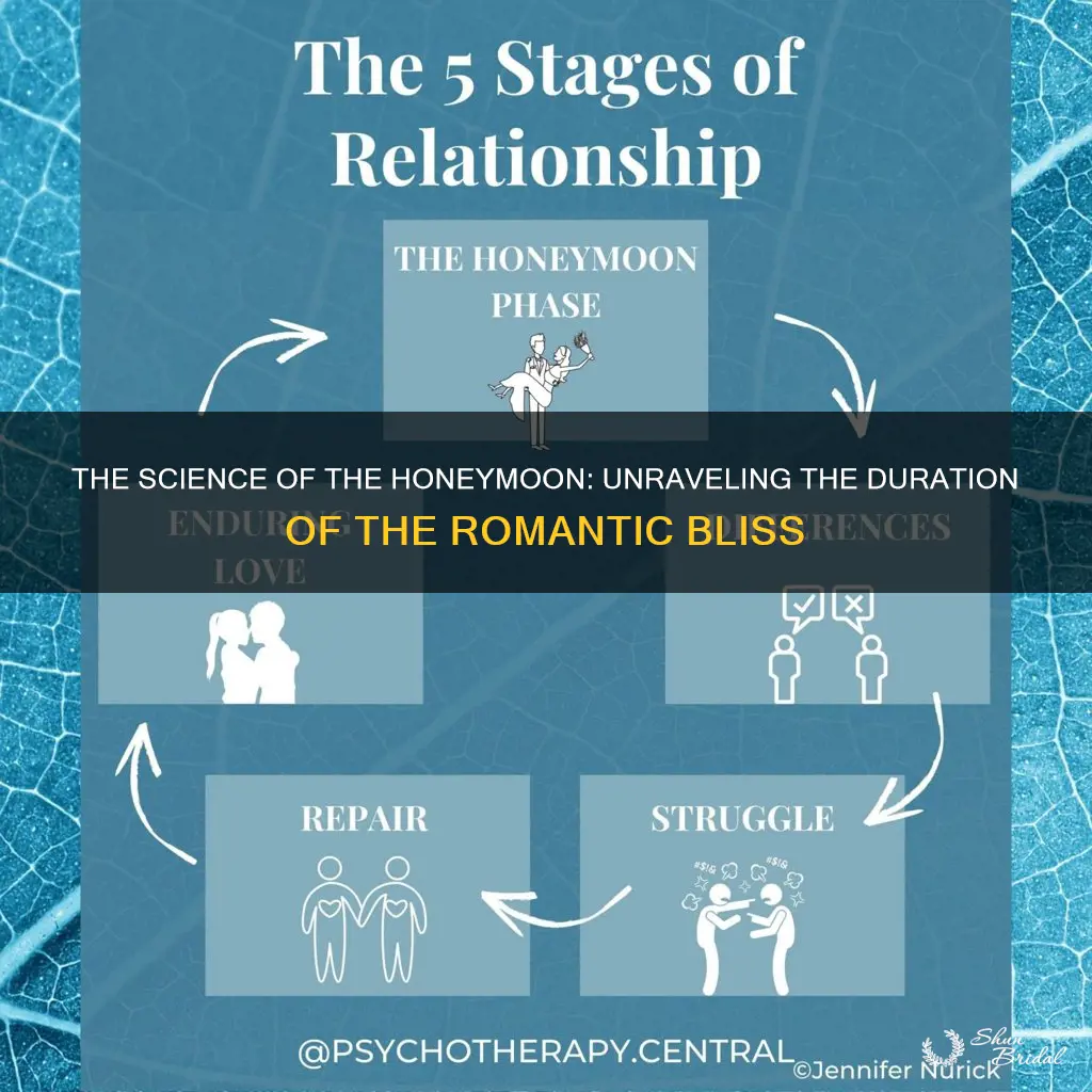 how long is the honeymoon phase in dating psychology